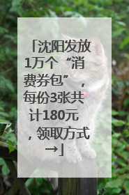 沈阳发放1万个“消费券包”,每份3张共计180元,领取方式→