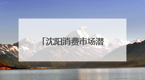 沈阳消费市场潜力不断释放 活力迸发亮点频现