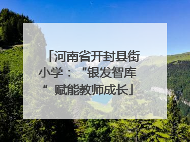 河南省开封县街小学：“银发智库”赋能教师成长