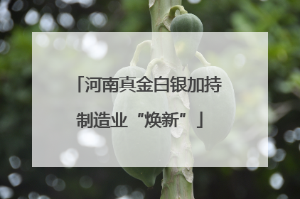 河南真金白银加持制造业“焕新”