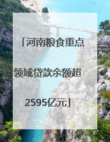 河南粮食重点领域贷款余额超2595亿元