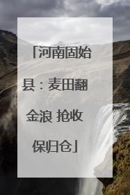 河南固始县：麦田翻金浪 抢收保归仓
