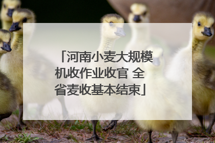 河南小麦大规模机收作业收官 全省麦收基本结束