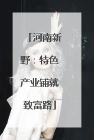 河南新野：特色产业铺就致富路