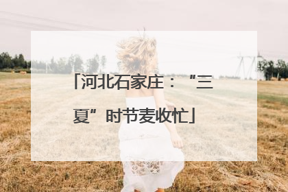 河北石家庄：“三夏”时节麦收忙