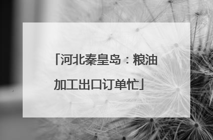 河北秦皇岛：粮油加工出口订单忙