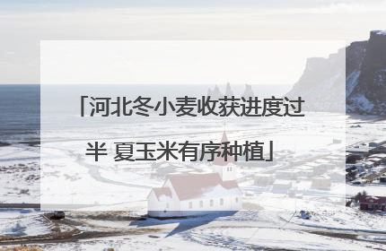河北冬小麦收获进度过半 夏玉米有序种植
