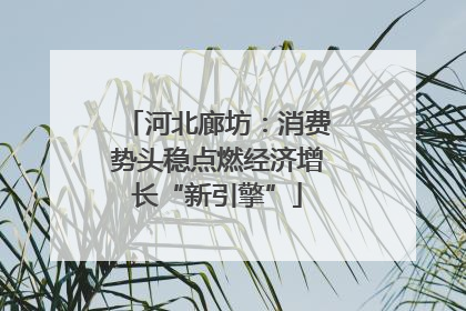 河北廊坊：消费势头稳点燃经济增长“新引擎”