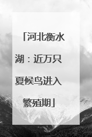 河北衡水湖：近万只夏候鸟进入繁殖期