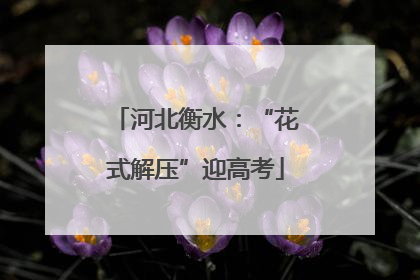 河北衡水：“花式解压”迎高考