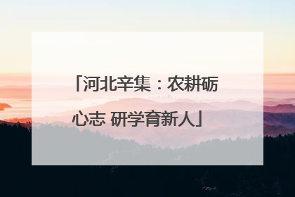 河北辛集：农耕砺心志 研学育新人
