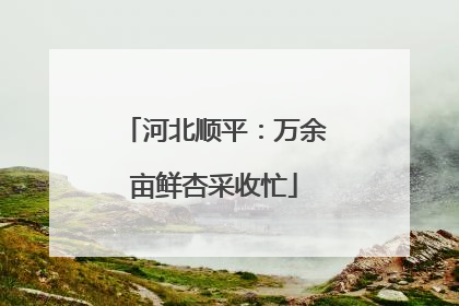 河北顺平：万余亩鲜杏采收忙