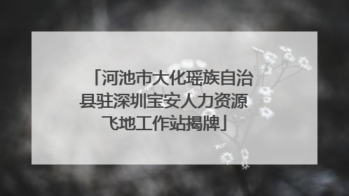 河池市大化瑶族自治县驻深圳宝安人力资源飞地工作站揭牌