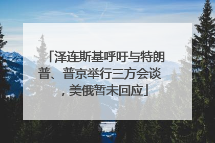 泽连斯基呼吁与特朗普、普京举行三方会谈，美俄暂未回应