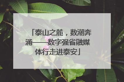 泰山之麓，数潮奔涌——数字强省融媒体行走进泰安