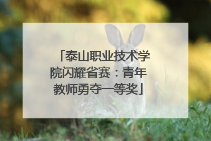 泰山职业技术学院闪耀省赛：青年教师勇夺一等奖