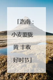 洛南：小麦覆陇黄 丰收好时节