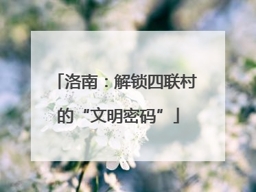 洛南：解锁四联村的“文明密码”