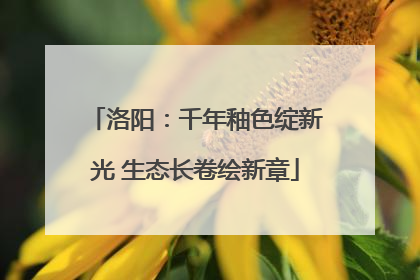 洛阳：千年釉色绽新光 生态长卷绘新章