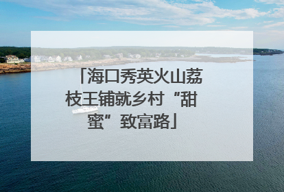海口秀英火山荔枝王铺就乡村“甜蜜”致富路