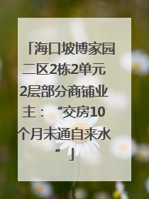 海口坡博家园二区2栋2单元2层部分商铺业主：“交房10个月未通自来水”