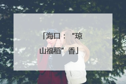 海口：“琼山福稻”香