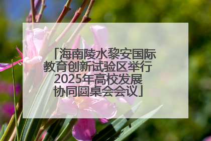 海南陵水黎安国际教育创新试验区举行2025年高校发展协同圆桌会会议