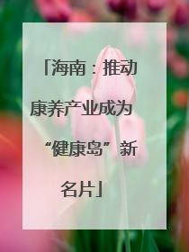 海南：推动康养产业成为“健康岛”新名片