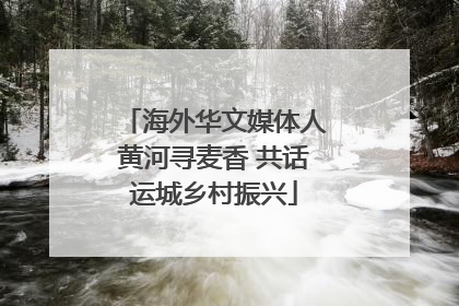 海外华文媒体人黄河寻麦香 共话运城乡村振兴