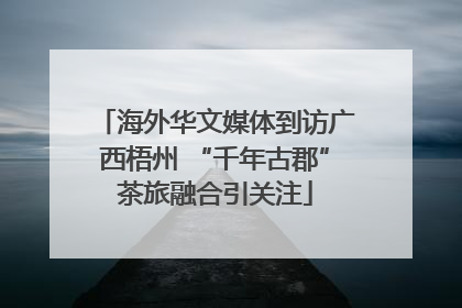 海外华文媒体到访广西梧州 “千年古郡”茶旅融合引关注