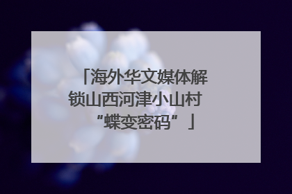 海外华文媒体解锁山西河津小山村“蝶变密码”