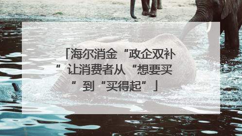 海尔消金“政企双补”让消费者从“想要买”到“买得起”