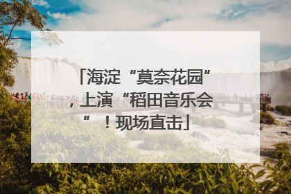 海淀“莫奈花园”，上演“稻田音乐会”！现场直击