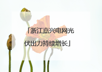 浙江嘉兴电网光伏出力持续增长