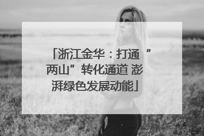 浙江金华：打通“两山”转化通道 澎湃绿色发展动能