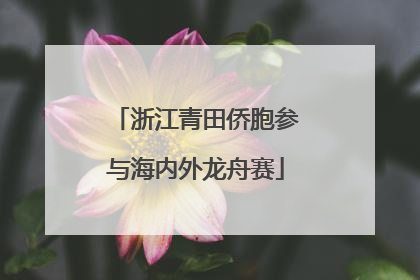 浙江青田侨胞参与海内外龙舟赛