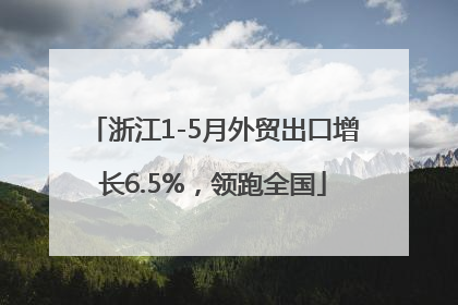 浙江1-5月外贸出口增长6.5%，领跑全国
