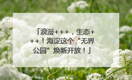 浪漫+++，生态+++！海淀这个“无界公园”焕新开放！
