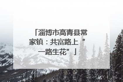 淄博市高青县常家镇：共富路上“一路生花”