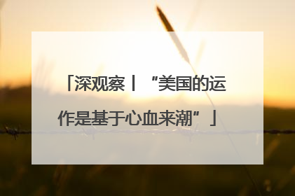 深观察丨“美国的运作是基于心血来潮”