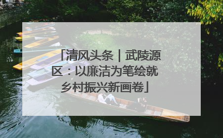 清风头条｜武陵源区：以廉洁为笔绘就乡村振兴新画卷