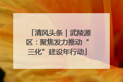 清风头条｜武陵源区：聚焦发力推动“三化”建设年行动