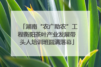 湖南“农广助农”工程衡阳茶叶产业发展带头人培训班圆满落幕