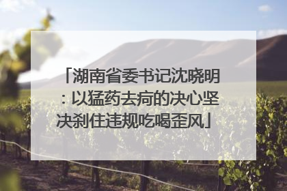 湖南省委书记沈晓明：以猛药去疴的决心坚决刹住违规吃喝歪风