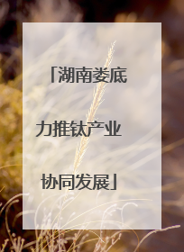 湖南娄底力推钛产业协同发展