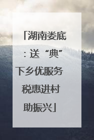 湖南娄底：送“典”下乡优服务 税惠进村助振兴