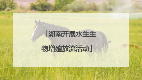 湖南开展水生生物增殖放流活动