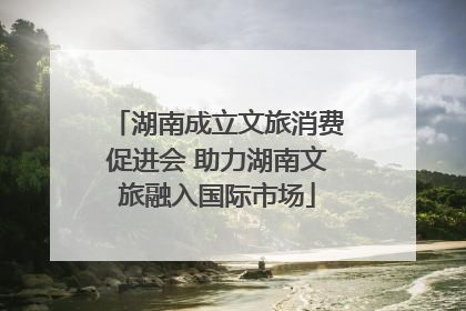 湖南成立文旅消费促进会 助力湖南文旅融入国际市场