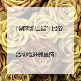 湖南新田端午民俗活动增进邻里情
