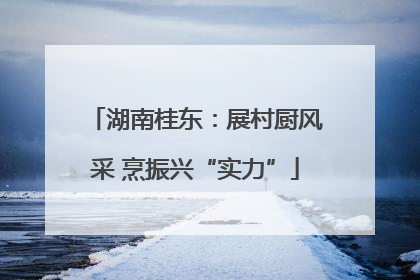 湖南桂东：展村厨风采 烹振兴“实力”